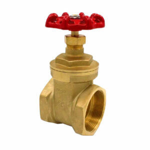 Brass gate valves